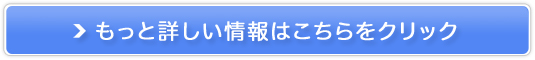 qgזE|{GLX VObh̔TCg